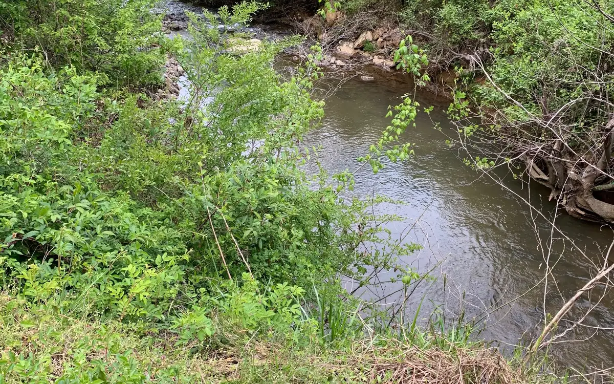 Us Hwy 64 West #2,5,7,8,9, Hayesville, NC 28904 - Image #1