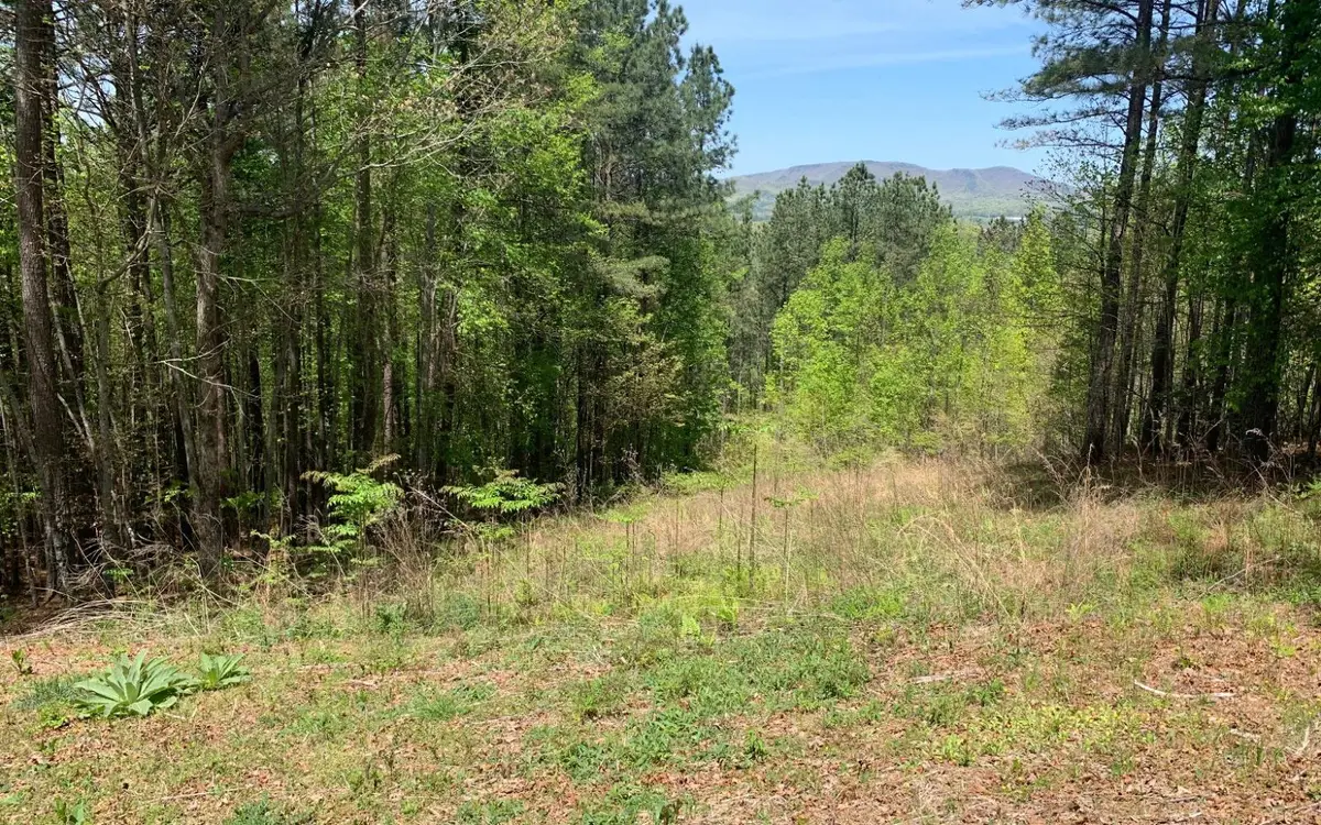 Lot 28 Loftis Mountain, Blairsville, GA 30512 - #1