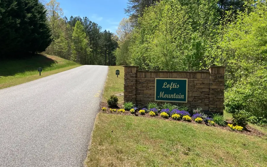 Lot 28 Loftis Mountain, Blairsville, GA 30512 - #2