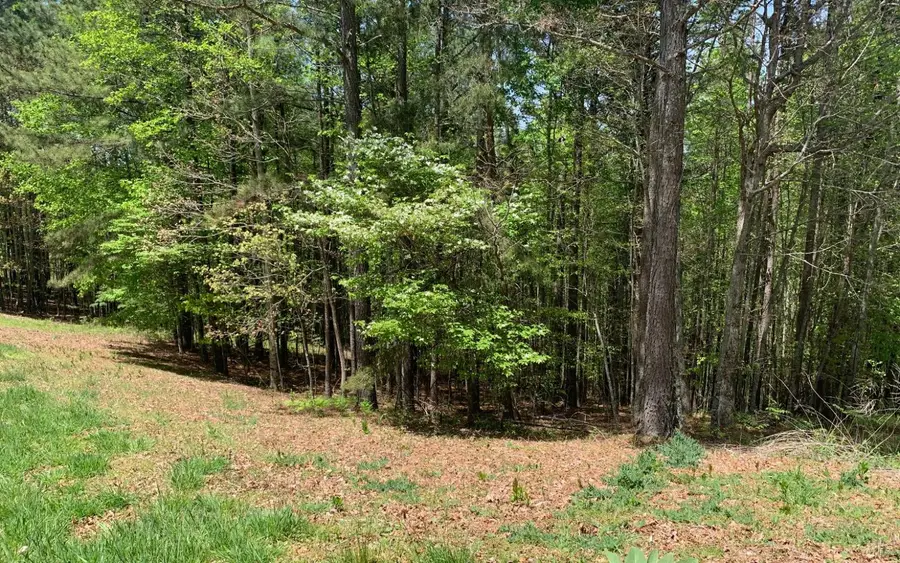 Lot 28 Loftis Mountain, Blairsville, GA 30512 - #3