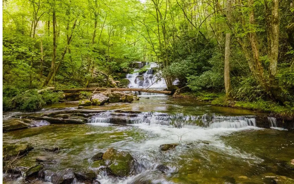 23036 Wayah Road, Topton, NC 28781 - Image #1