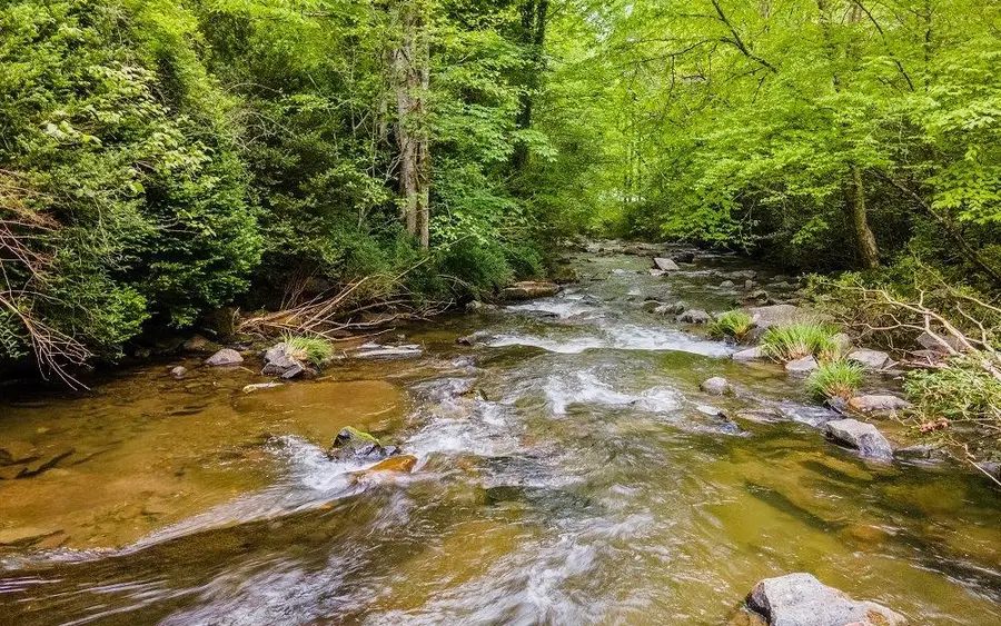 23036 Wayah Road, Topton, NC 28781 - Image #2