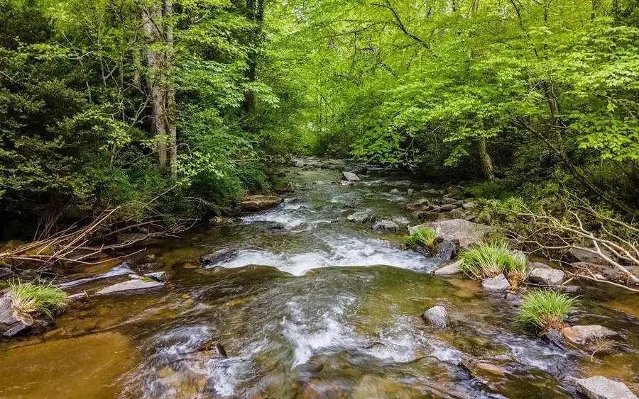 23036 Wayah Road, Topton, NC 28781 - Image #3