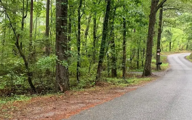 Dry Branch Road, Blue Ridge, GA 30513 - Image #2