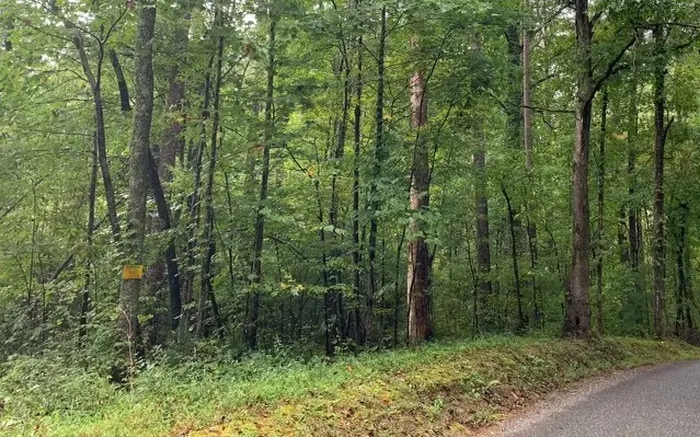 Dry Branch Road, Blue Ridge, GA 30513 - Image #3