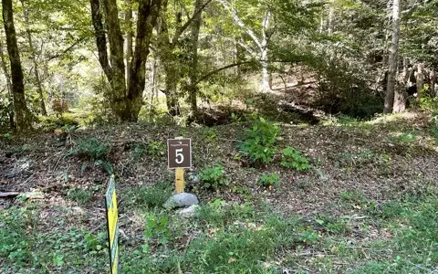 5 Tusquittee Crossing, Hayesville, NC 28904 - #2