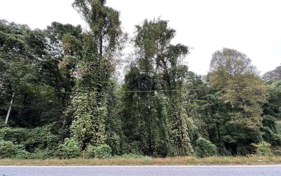 LOT 9 Rustic Ridge, Young Harris, GA 30582 - #3