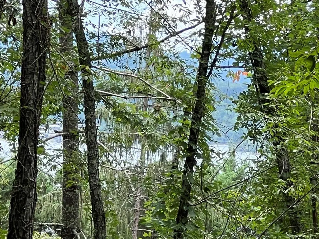 PC 1 Buena Vista Drive, Hayesville, NC 28904 - Image #1