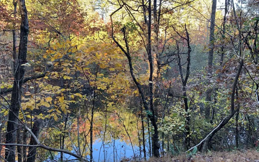 2B Ashley Trail, Warne, NC 28909 - Image #2