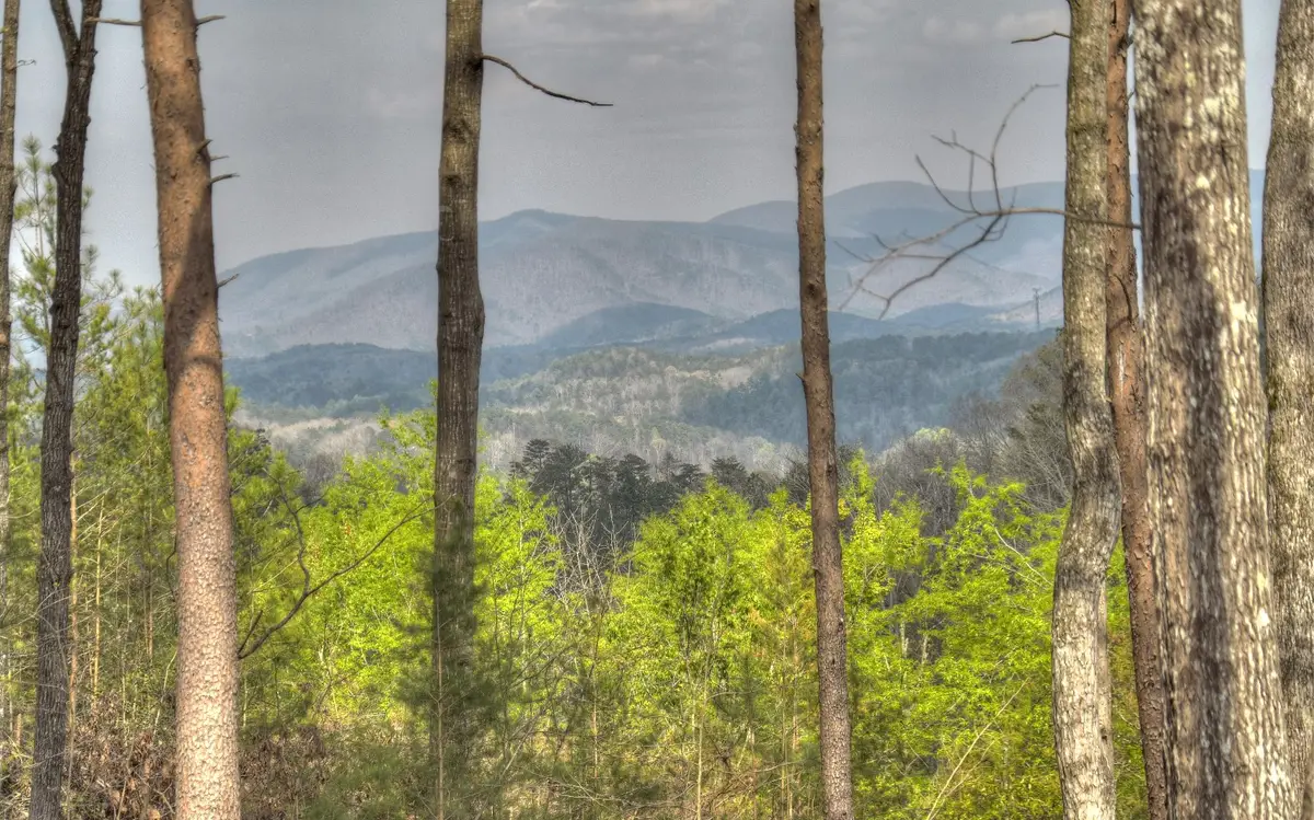 LT30 Summit View Drive #30, Ellijay, GA 30540 - #1