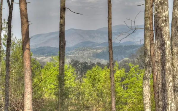 LT30 Summit View Drive #30, Ellijay, GA 30540
