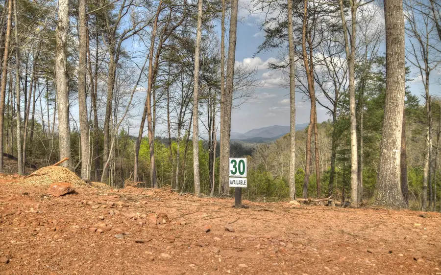 LT30 Summit View Drive #30, Ellijay, GA 30540 - #3