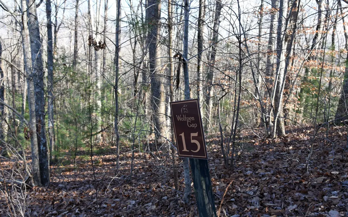 LT 15 Wolfpen Gap Court, Hiawassee, GA 30546 - Image #1