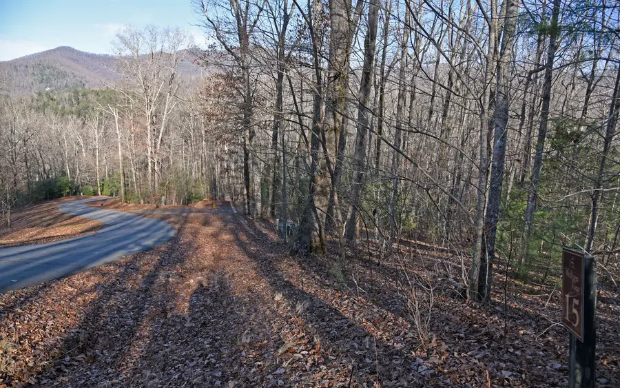 LT 15 Wolfpen Gap Court, Hiawassee, GA 30546 - Image #2