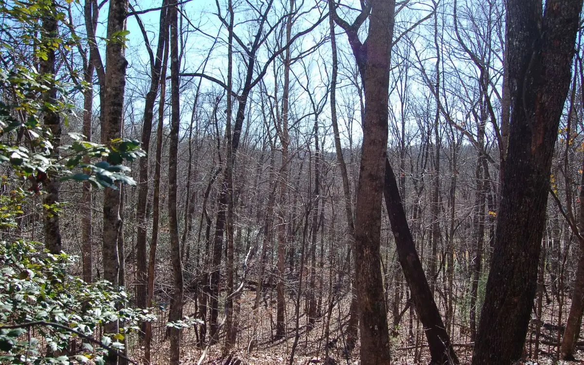 00 Timberline Lane, Hayesville, NC 28904 - Image #1