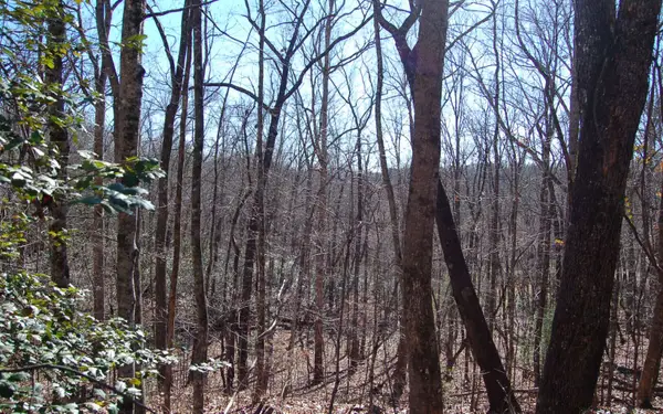 00 Timberline Lane, Hayesville, NC 28904