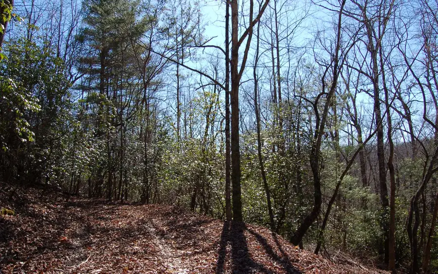 00 Timberline Lane, Hayesville, NC 28904 - Image #2