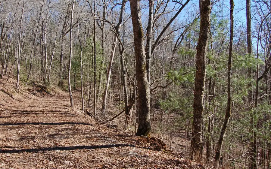 00 Timberline Lane, Hayesville, NC 28904 - Image #3