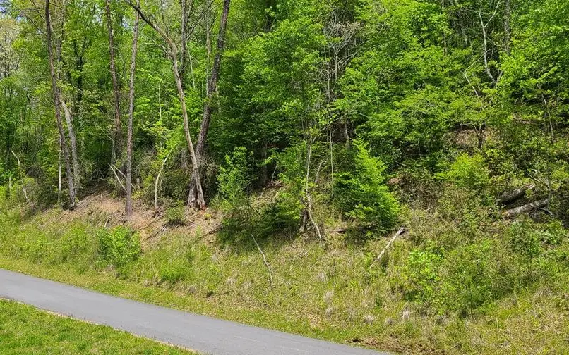 153 River Sound Drive, Murphy, NC 28906 - #1