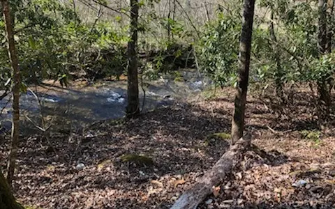 7.9AC Scott Hollow, Ellijay, GA 30540