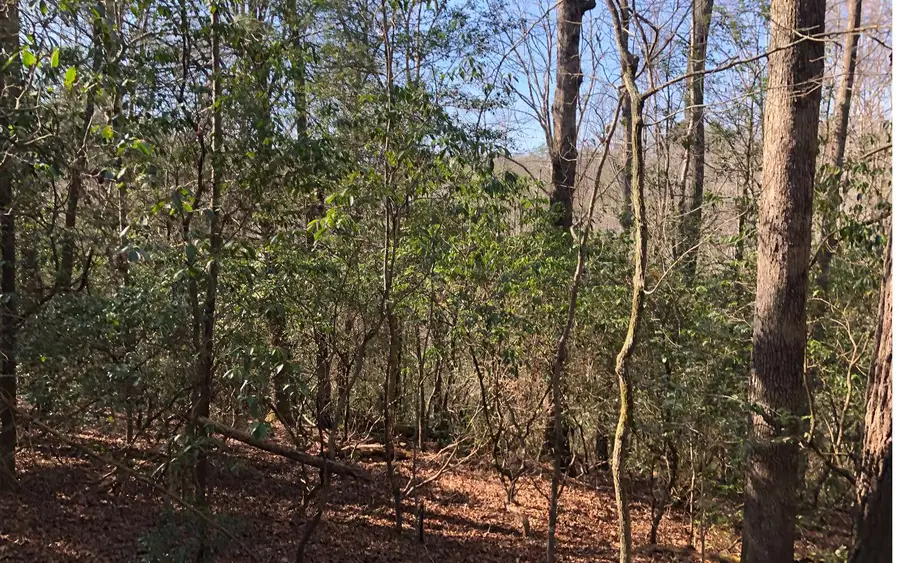 7.9AC Scott Hollow, Ellijay, GA 30540 - Image #2