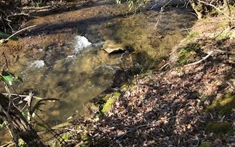 7.9AC Scott Hollow, Ellijay, GA 30540 - Image #3