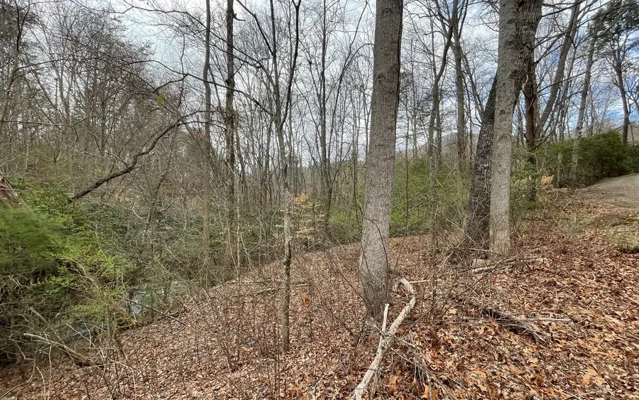 9.36A Hwy 515/thomas Cir, Blairsville, GA 30512 - #2