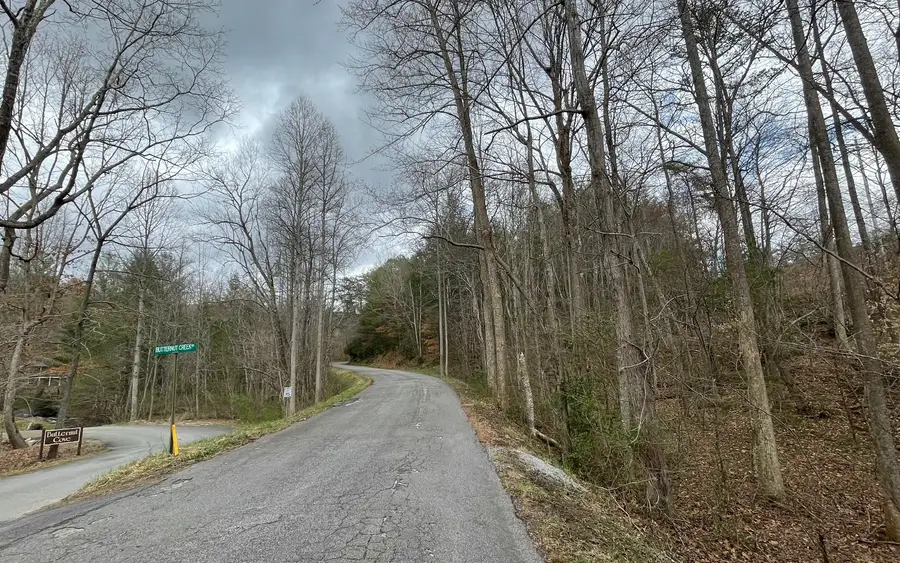 9.36A Hwy 515/thomas Cir, Blairsville, GA 30512 - #3