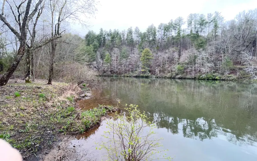 LOT 5 Trillium Heights, Hayesville, NC 28904 - Image #3