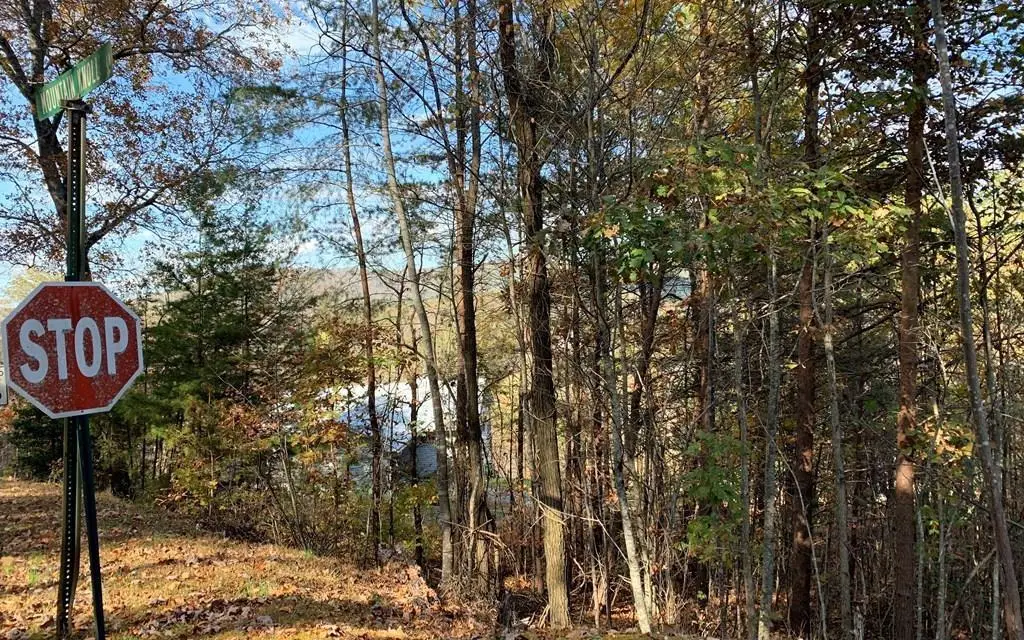 25 Mountain Knoll Lane, Warne, NC 28909 - Image #1