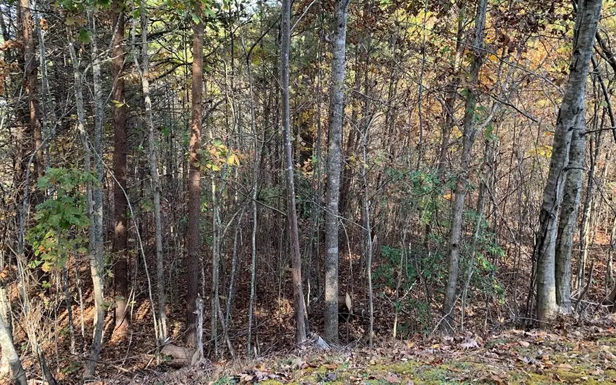 25 Mountain Knoll Lane, Warne, NC 28909 - Image #3