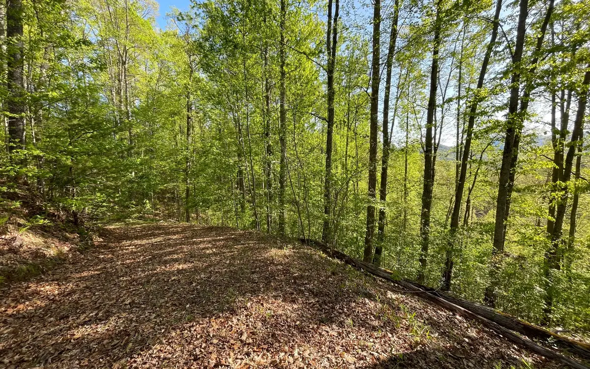 Lot 1C Lakewood Hills, Hayesville, NC 28904 - Image #1