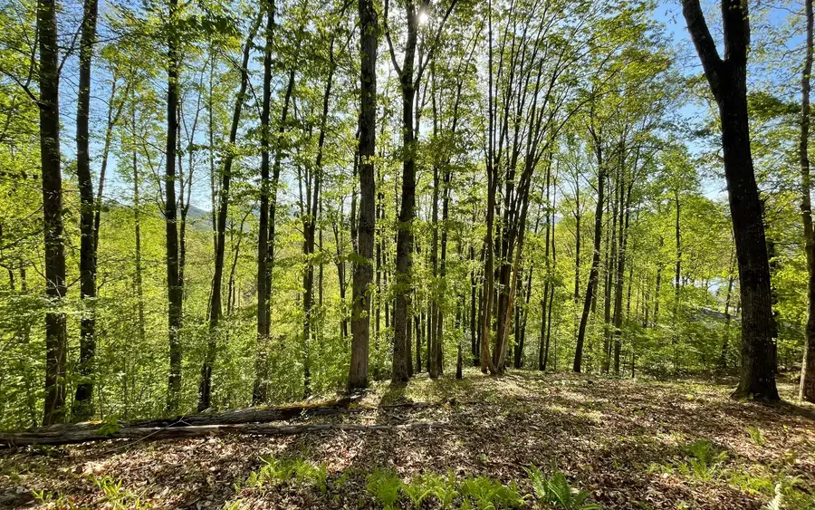 Lot 1C Lakewood Hills, Hayesville, NC 28904 - Image #3