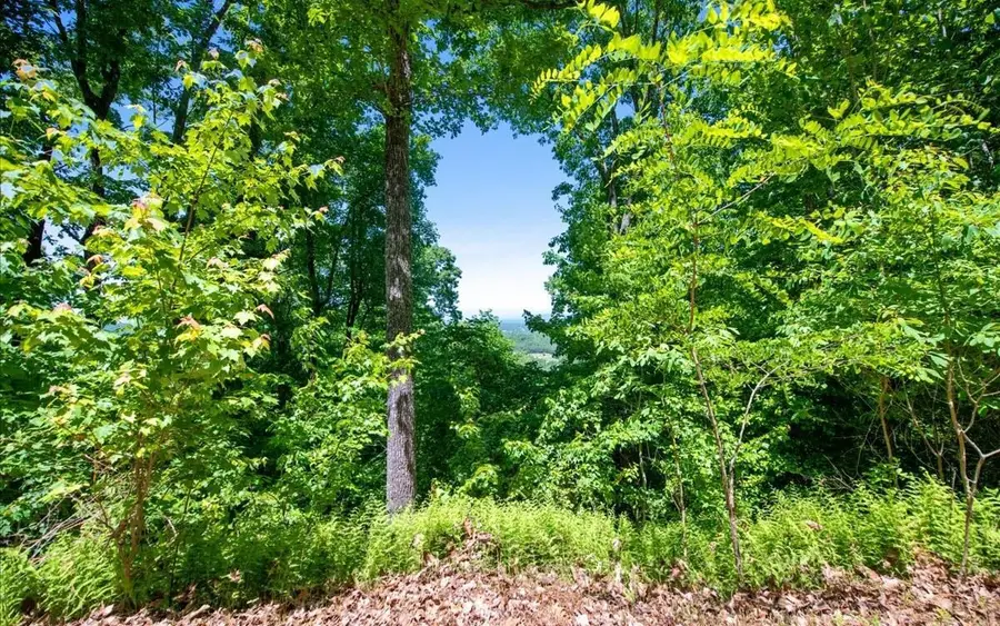 LT120 Croft Mountain Road, Blairsville, GA 30512 - Image #3