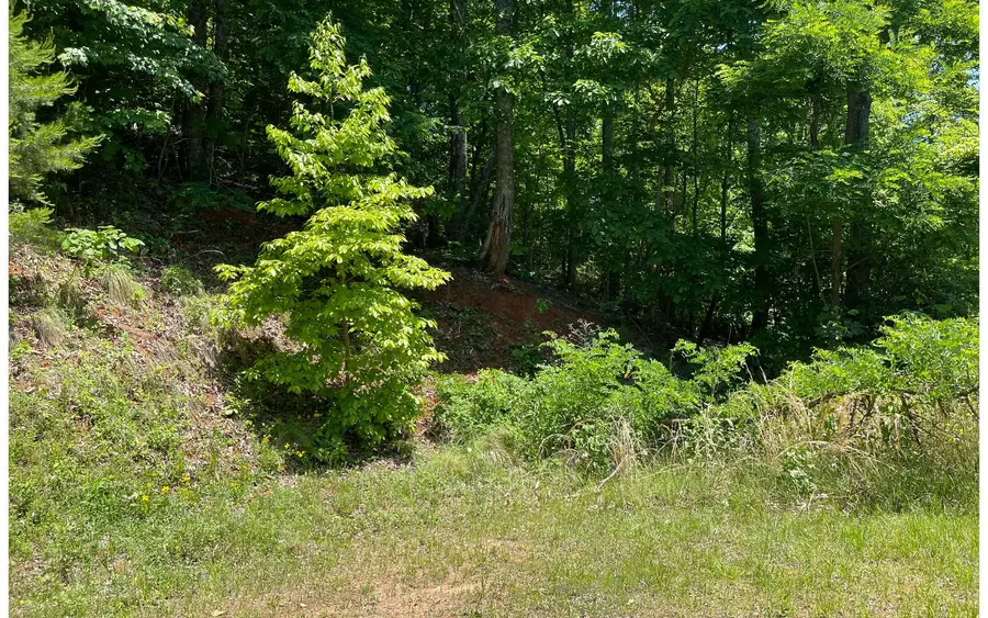 33B Grandview Drive, Hayesville, NC 28904 - Image #2