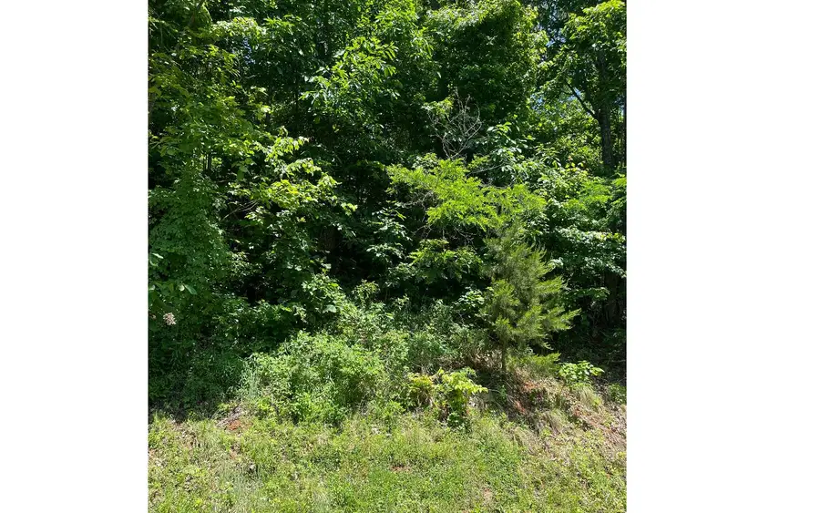 33B Grandview Drive, Hayesville, NC 28904 - Image #3