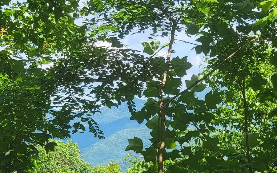 5 N Ridges Overlook, Hayesville, NC 28904 - Image #3