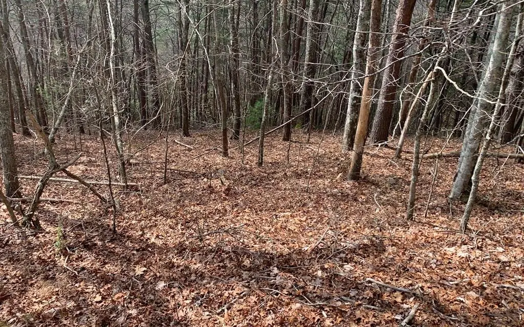 LOT20 Wolf Ridge Lane, Murphy, NC 28906 - #1
