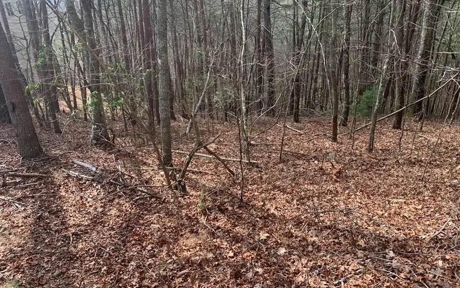 LOT20 Wolf Ridge Lane, Murphy, NC 28906 - #2
