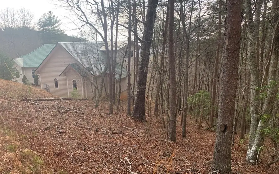 LOT20 Wolf Ridge Lane, Murphy, NC 28906 - #3
