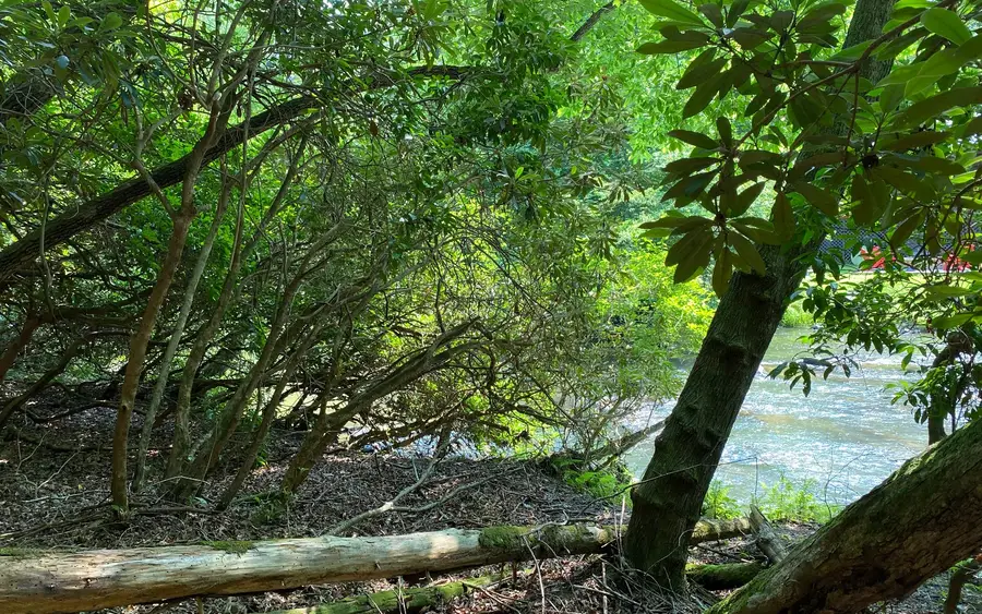 Lot 645 Wedowee Ct (lot 645), Ellijay, GA 30540 - Image #3