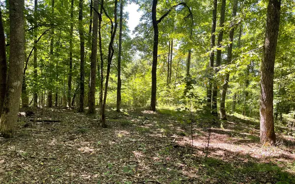 11B Grandview Drive, Hayesville, NC 28904