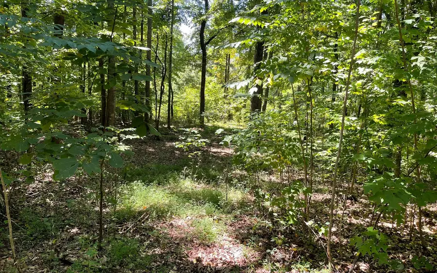 11B Grandview Drive, Hayesville, NC 28904 - Image #2