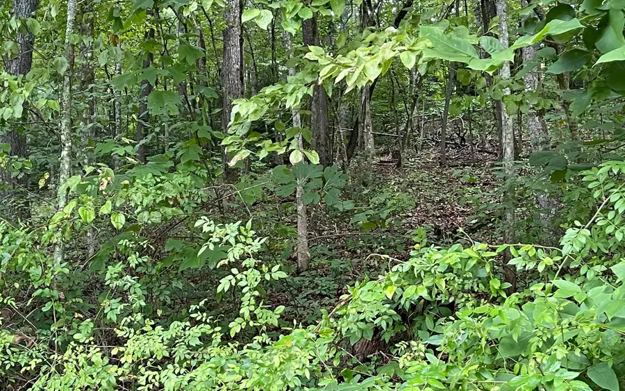 Lot 6A Kilpatrick Point Terrace, Hayesville, NC 28904 - Image #2