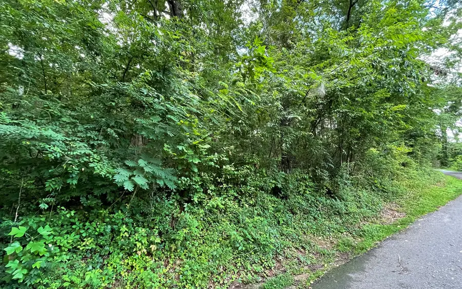 Lot 6A Kilpatrick Point Terrace, Hayesville, NC 28904 - Image #3