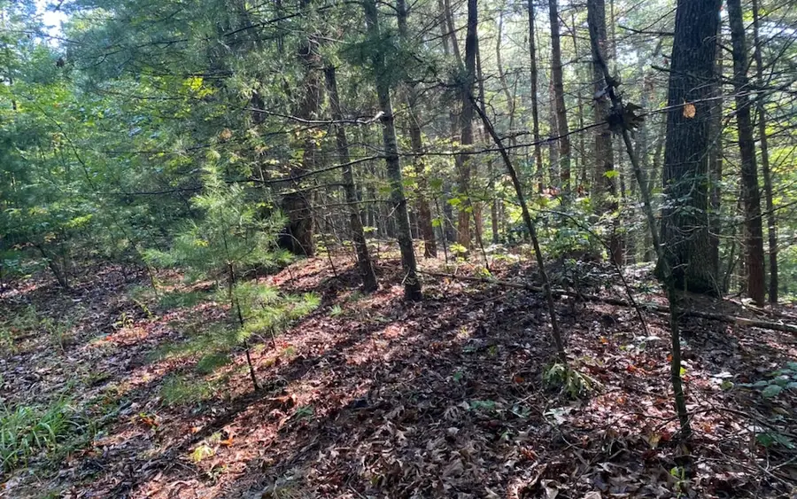 Blackhawk Circle #27-28, Murphy, NC 28906 - #2