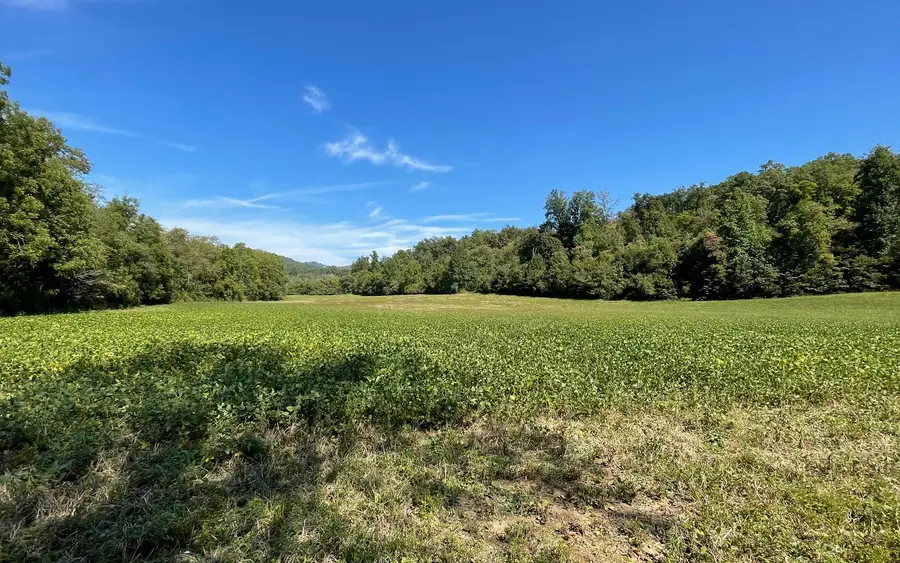 37+AC Jarrett Road, Hayesville, NC 28904 - Image #3