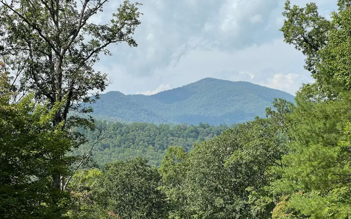 Lot 9 Wolfpen Gap Sub, Hiawassee, GA 30546 - Image #1