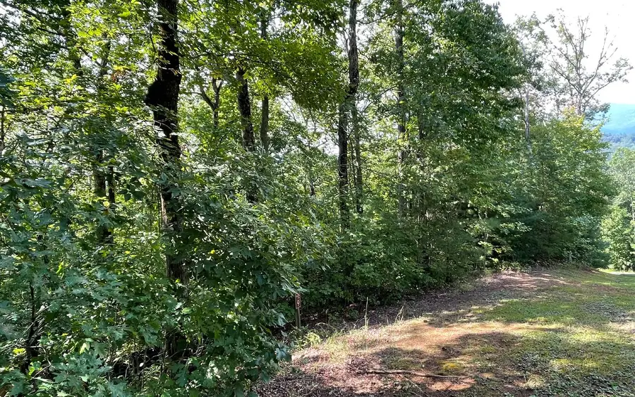 Lot 9 Wolfpen Gap Sub, Hiawassee, GA 30546 - Image #3