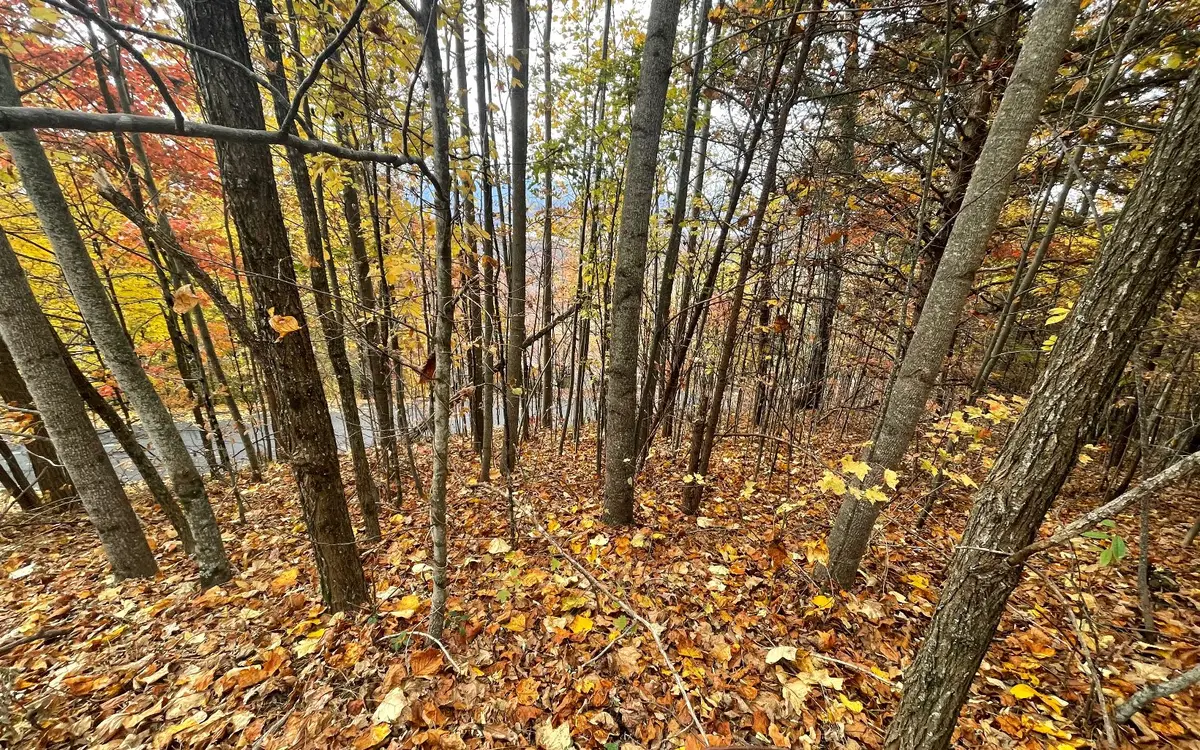 Lot 24B Grandview Drive, Hayesville, NC 28904 - Image #1